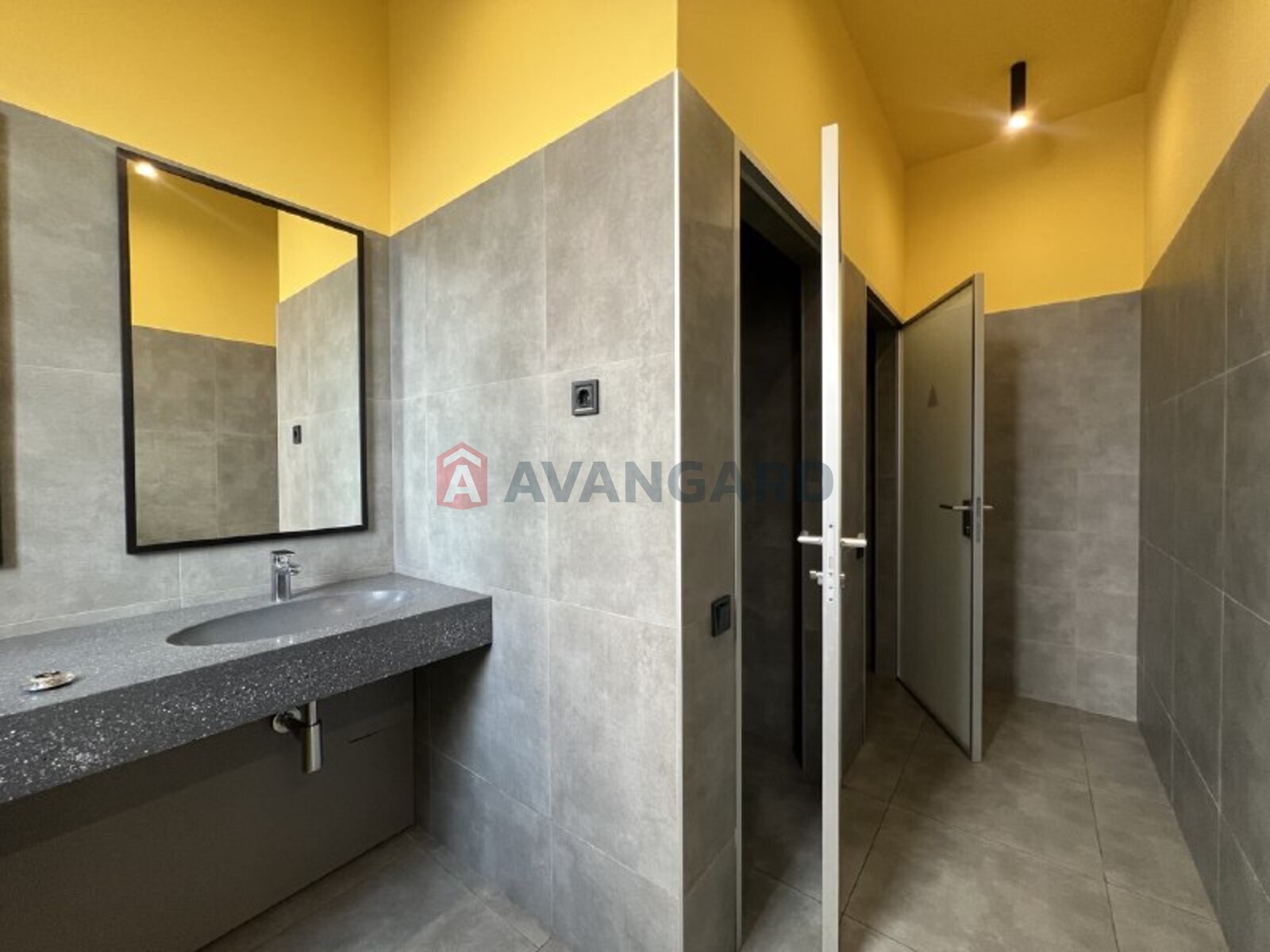 ����� �����, 245 ��.�. ���� 8