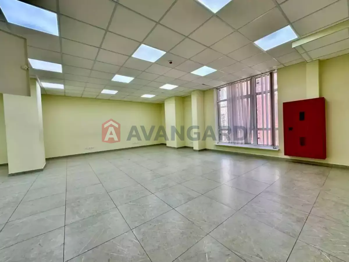 115 ��.�. ���� 1