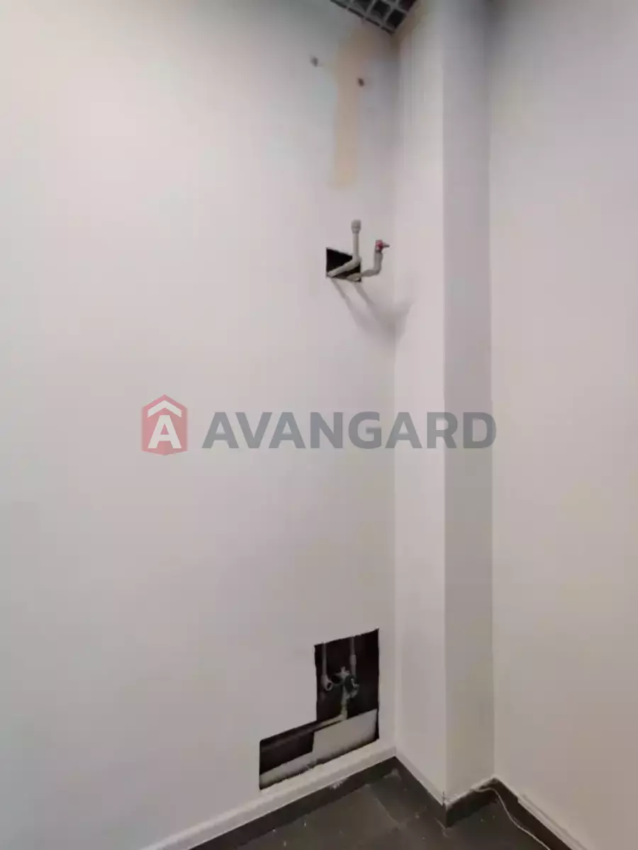 41 ��.�. ���� 6
