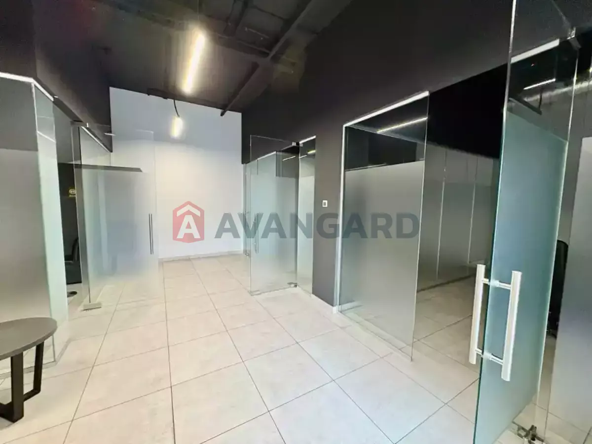 1202 ��.�. ���� 12