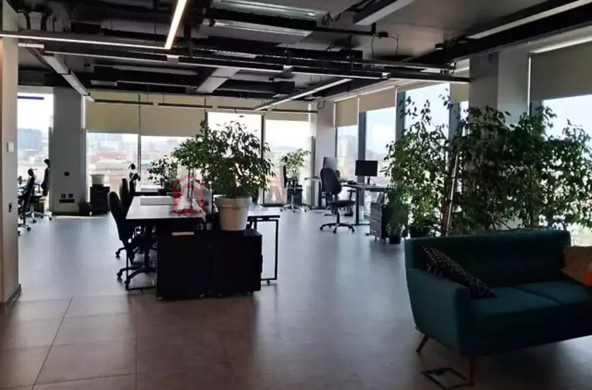 505 ��.�. ���� 14