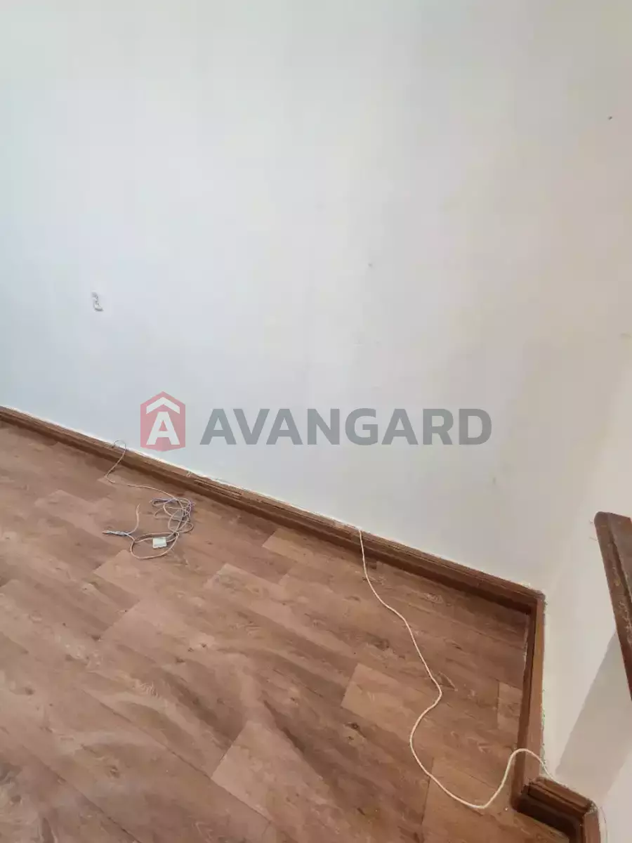 19 ��.�. ���� 5