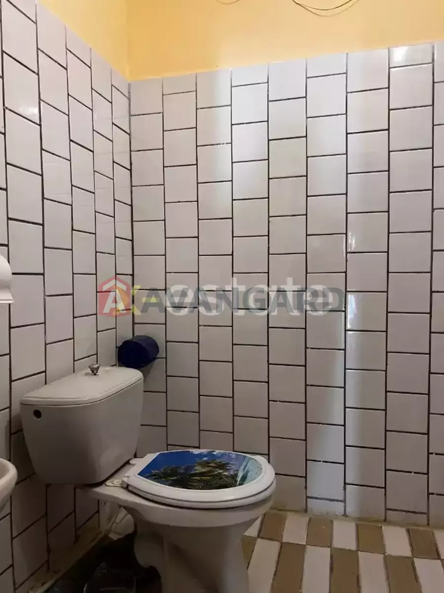 ����, 60 ��.�. ���� 14