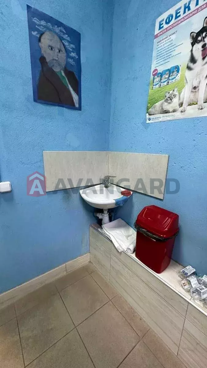 ����, 50 ��.�. ���� 6