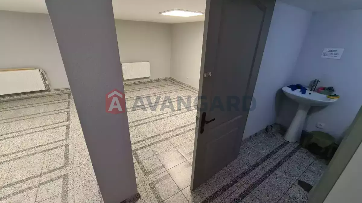 43 ��.�. ���� 3