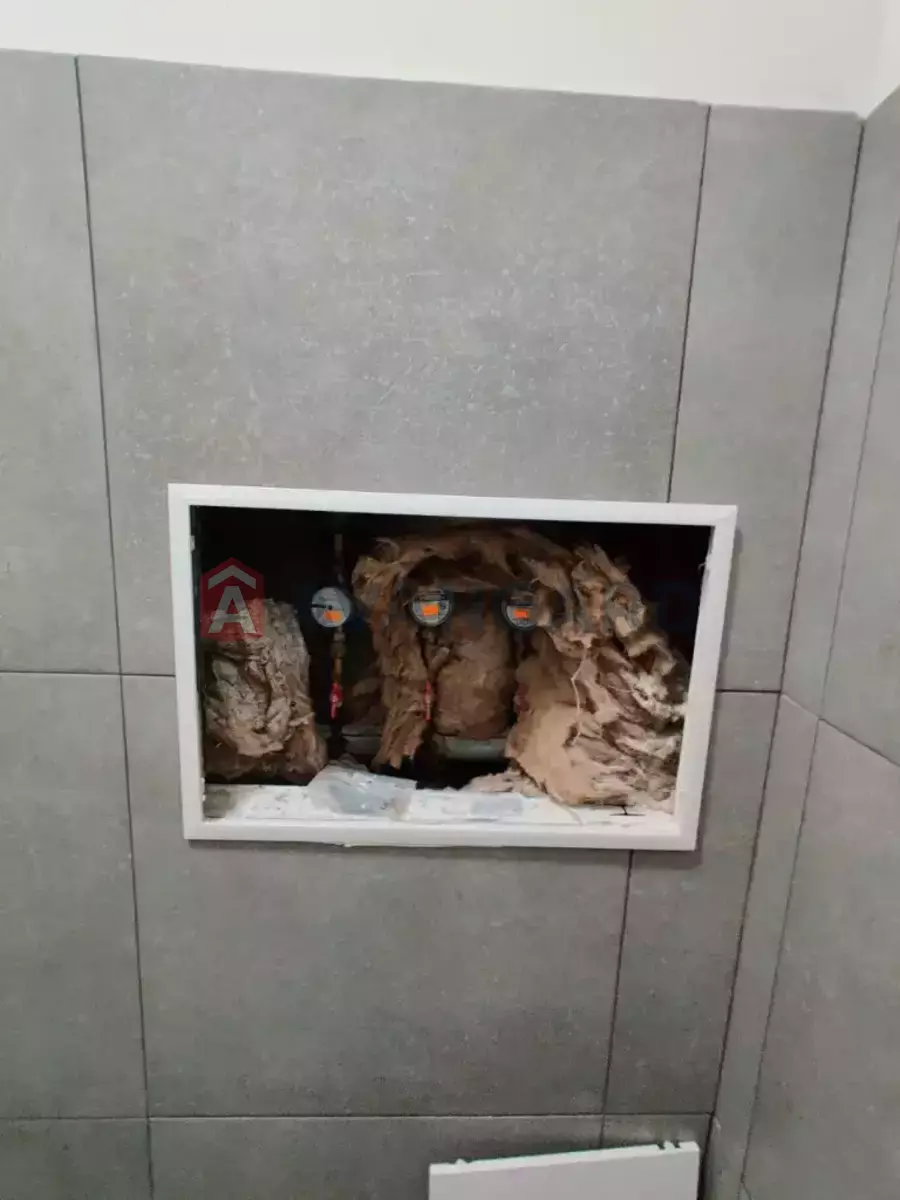 196 ��.�. ���� 7