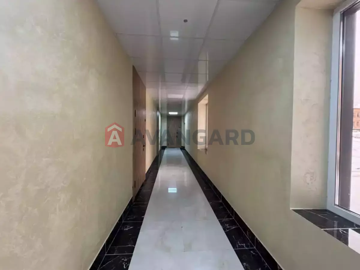 35 ��.�. ���� 5