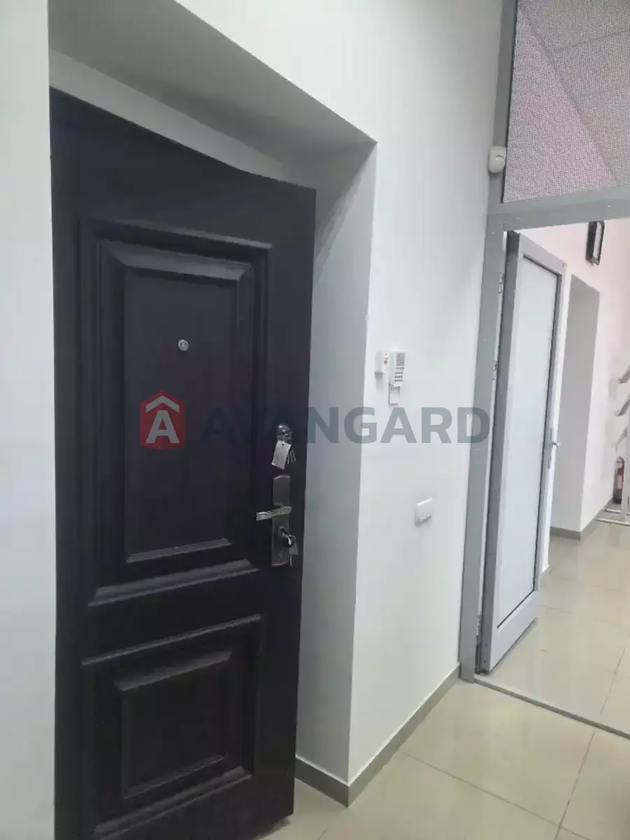 141 ��.�. ���� 15