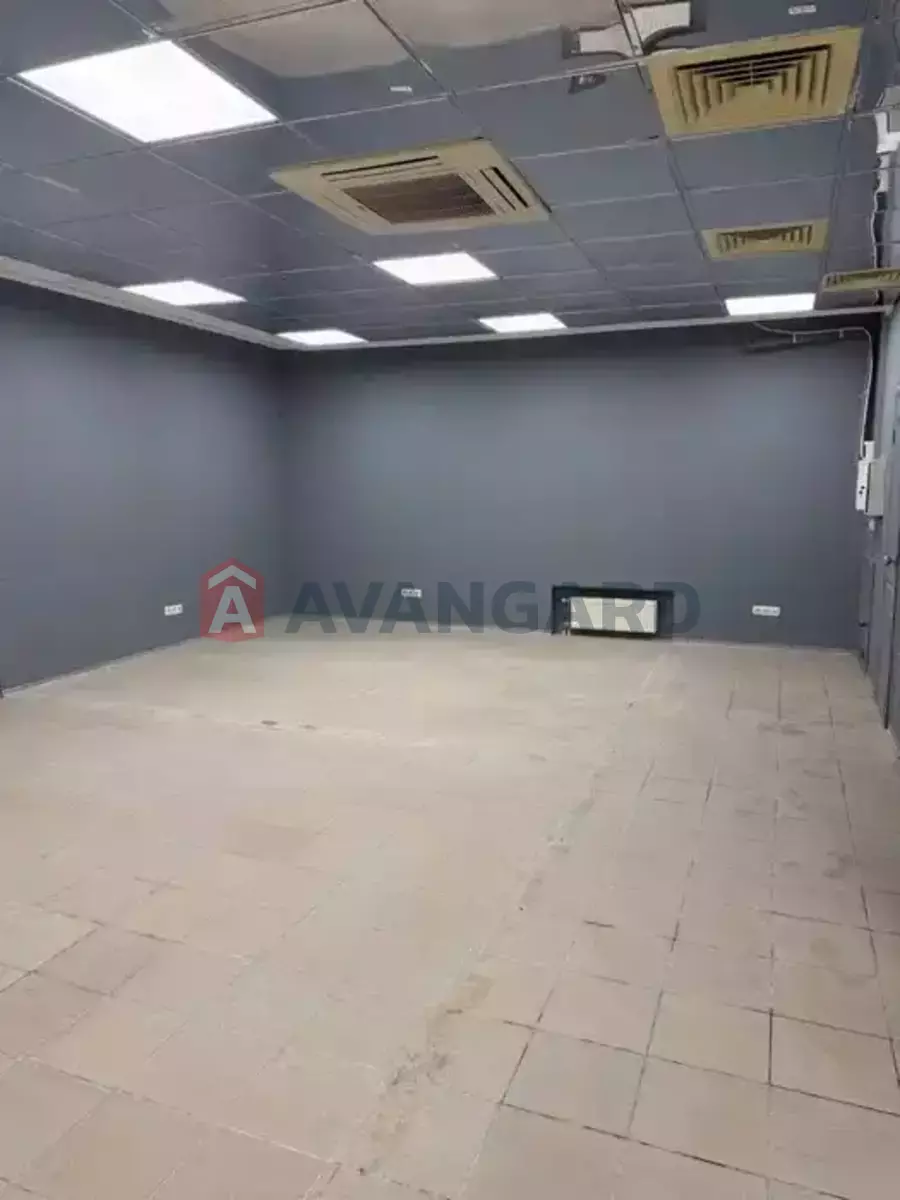 ����, 55 ��.�. ���� 3