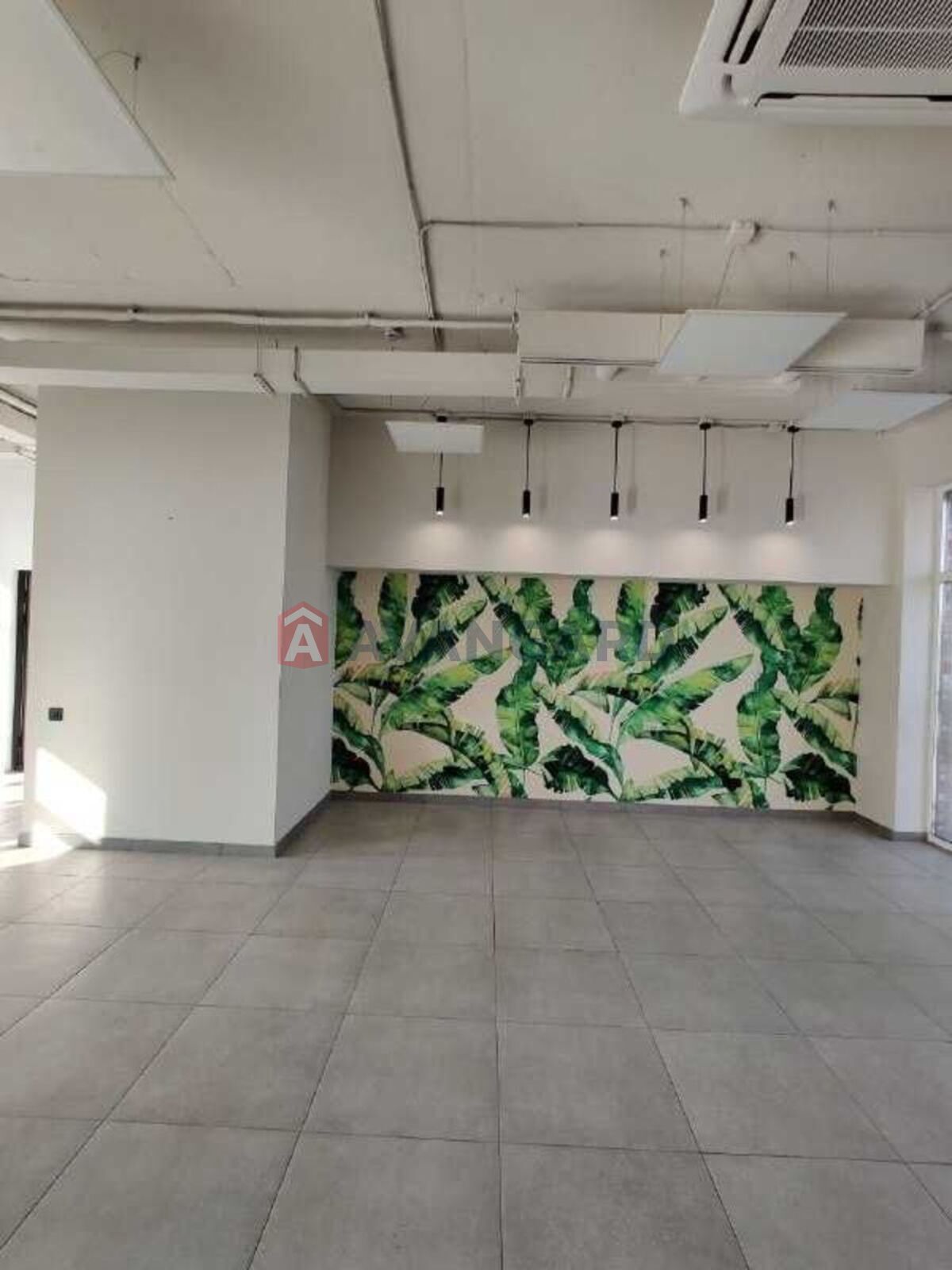 ��������� ��������� � ��������� �������, 173 ��.�. ���� 18