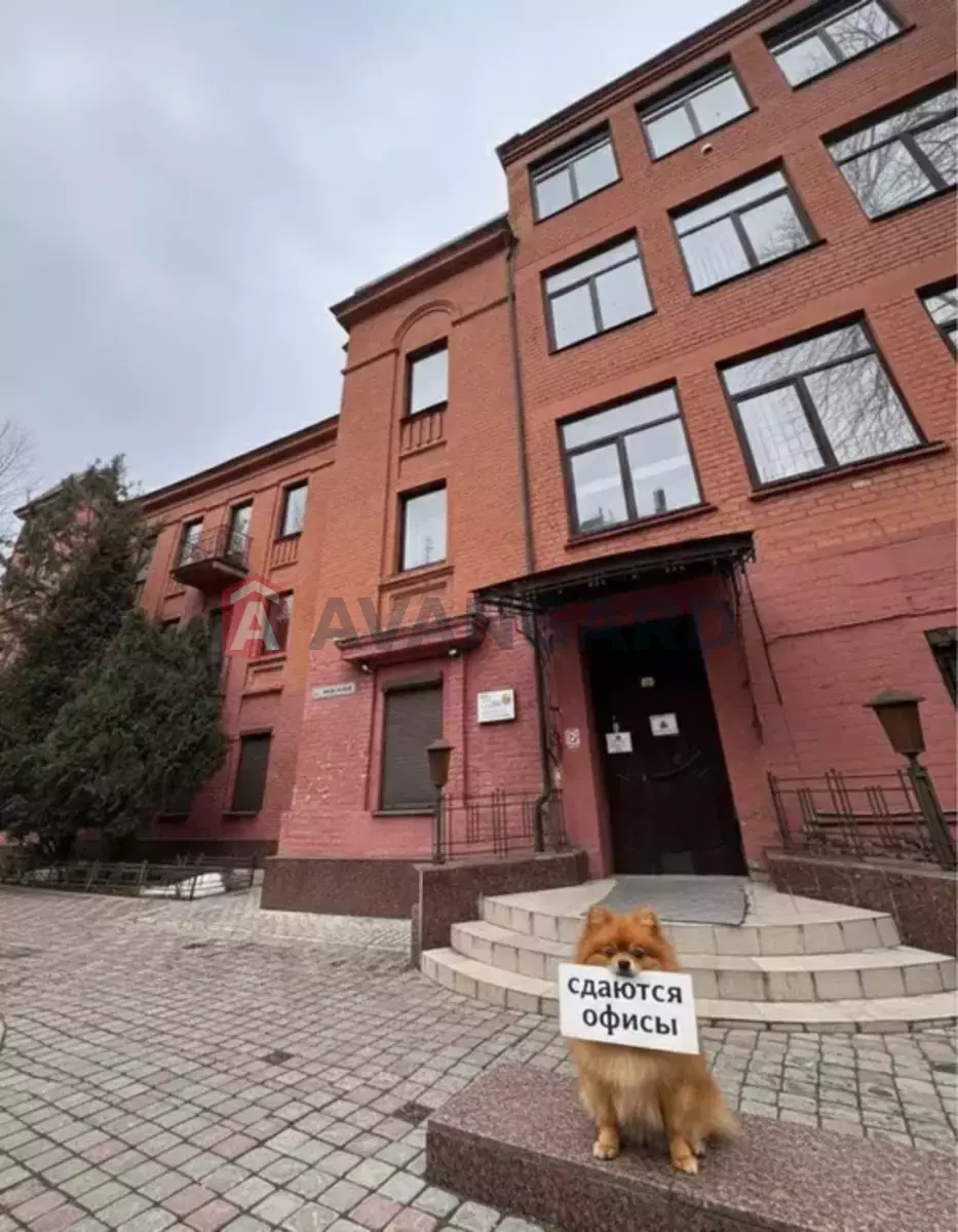 14 ��.�. ���� 4