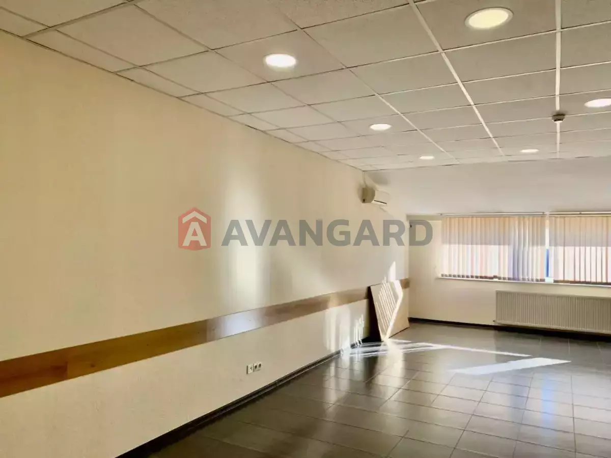 55 ��.�. ���� 3