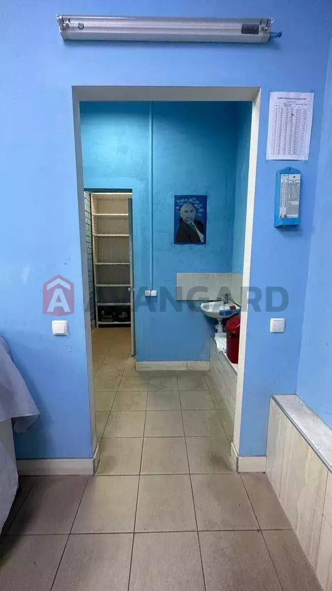 ����, 50 ��.�. ���� 7