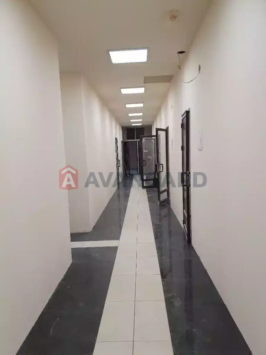 11 ��.�. ���� 4