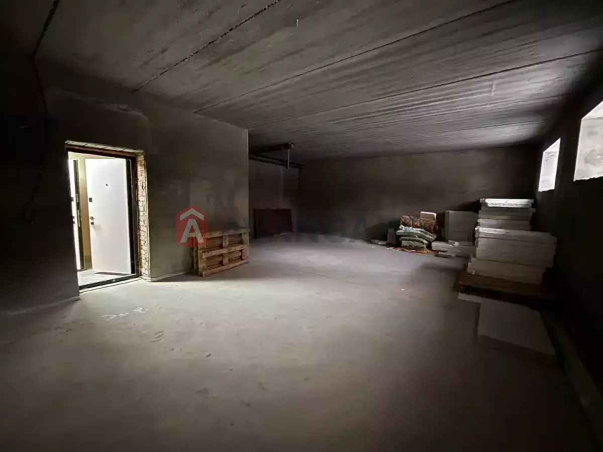 58 ��.�. ���� 8