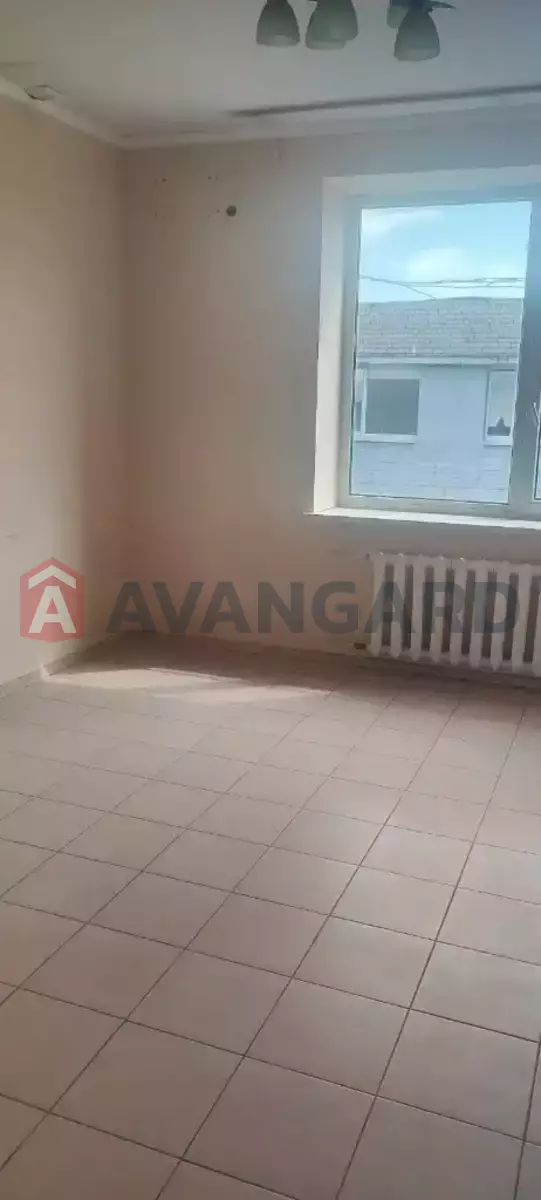 184 ��.�. ���� 3