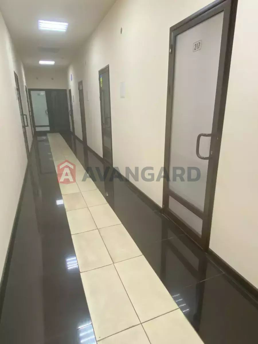 23 ��.�. ���� 11