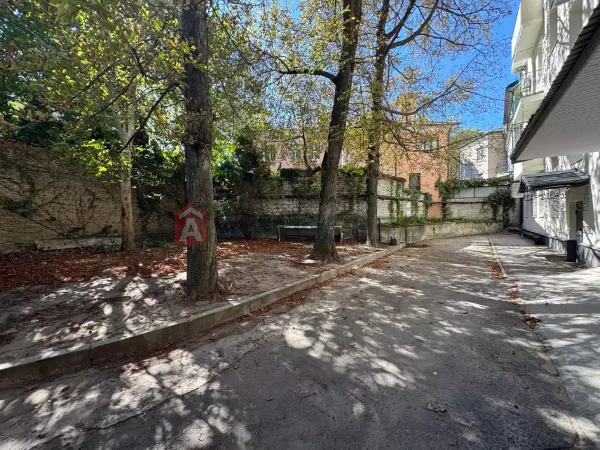 50 ��.�. ���� 2