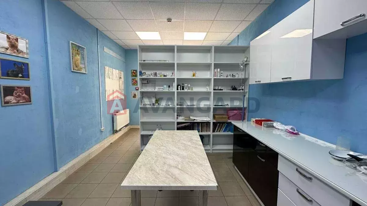 ����, 50 ��.�. ���� 15