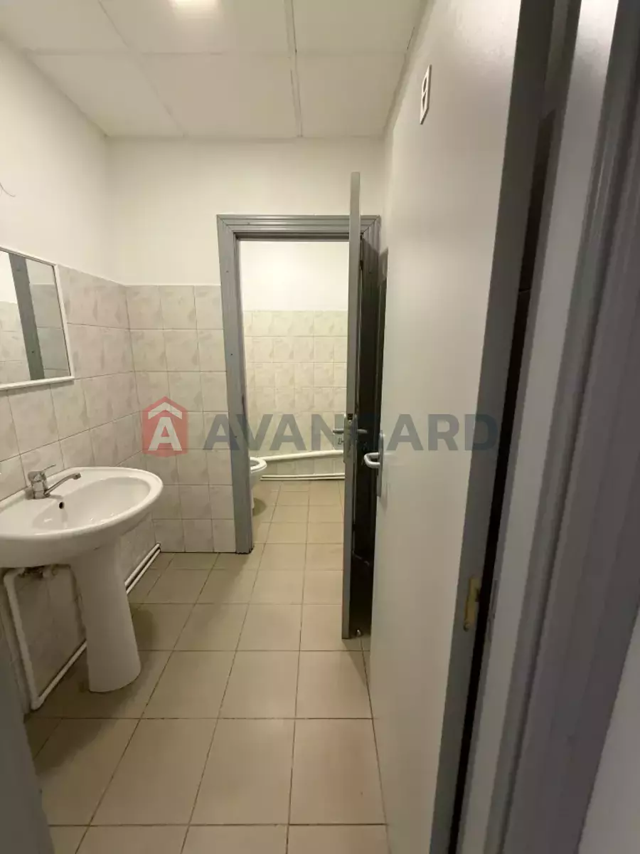 239 ��.�. ���� 21