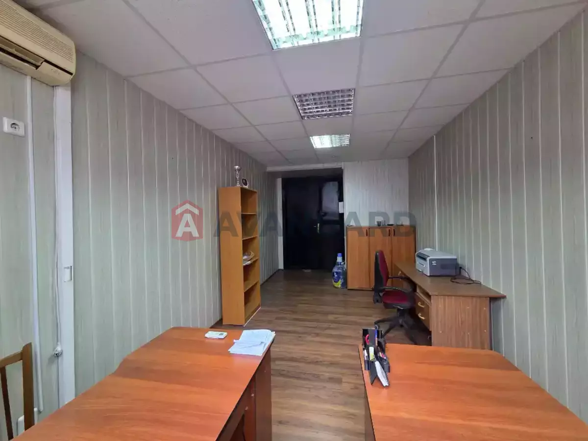 17 ��.�. ���� 4