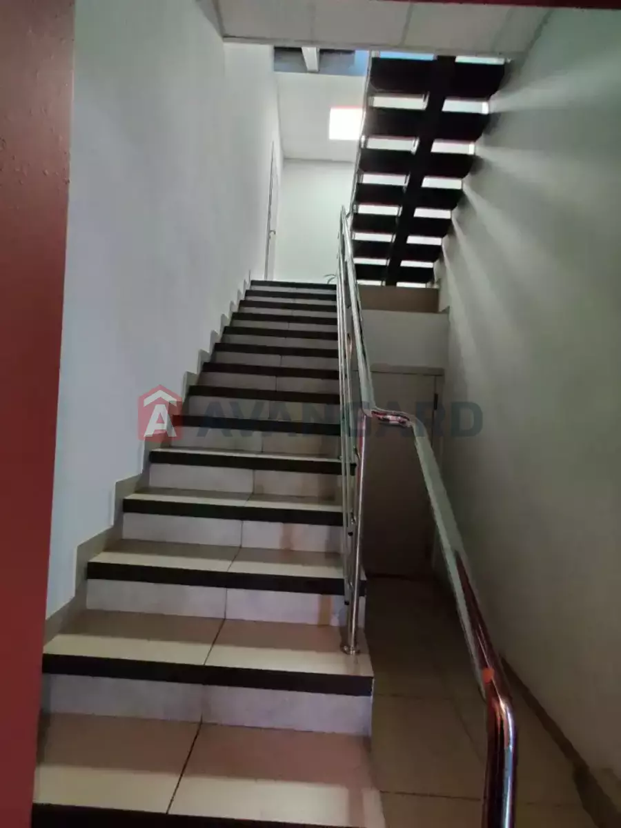 62 ��.�. ���� 13