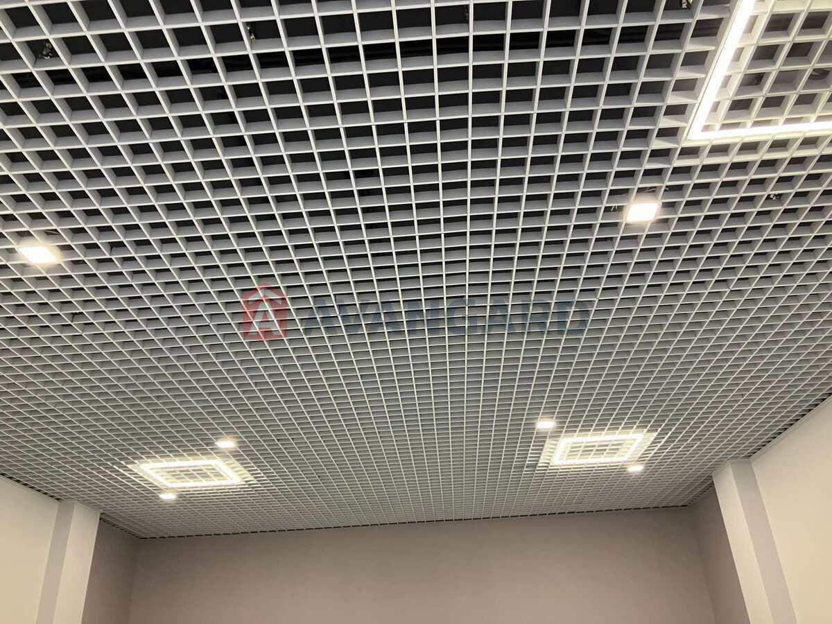 47 ��.�. ���� 7