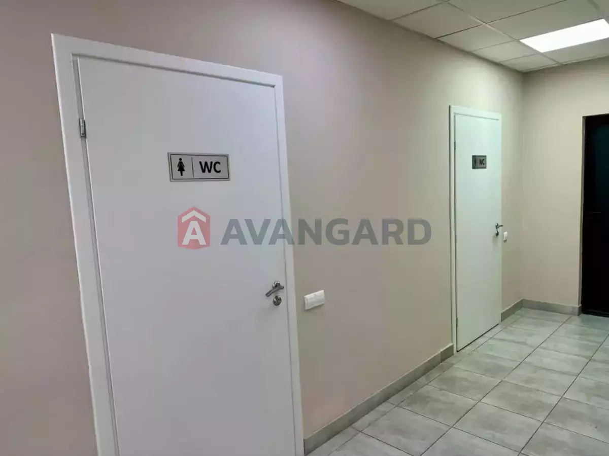 50 ��.�. ���� 6