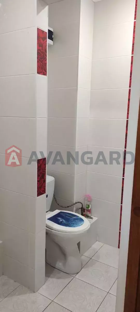 37 ��.�. ���� 4