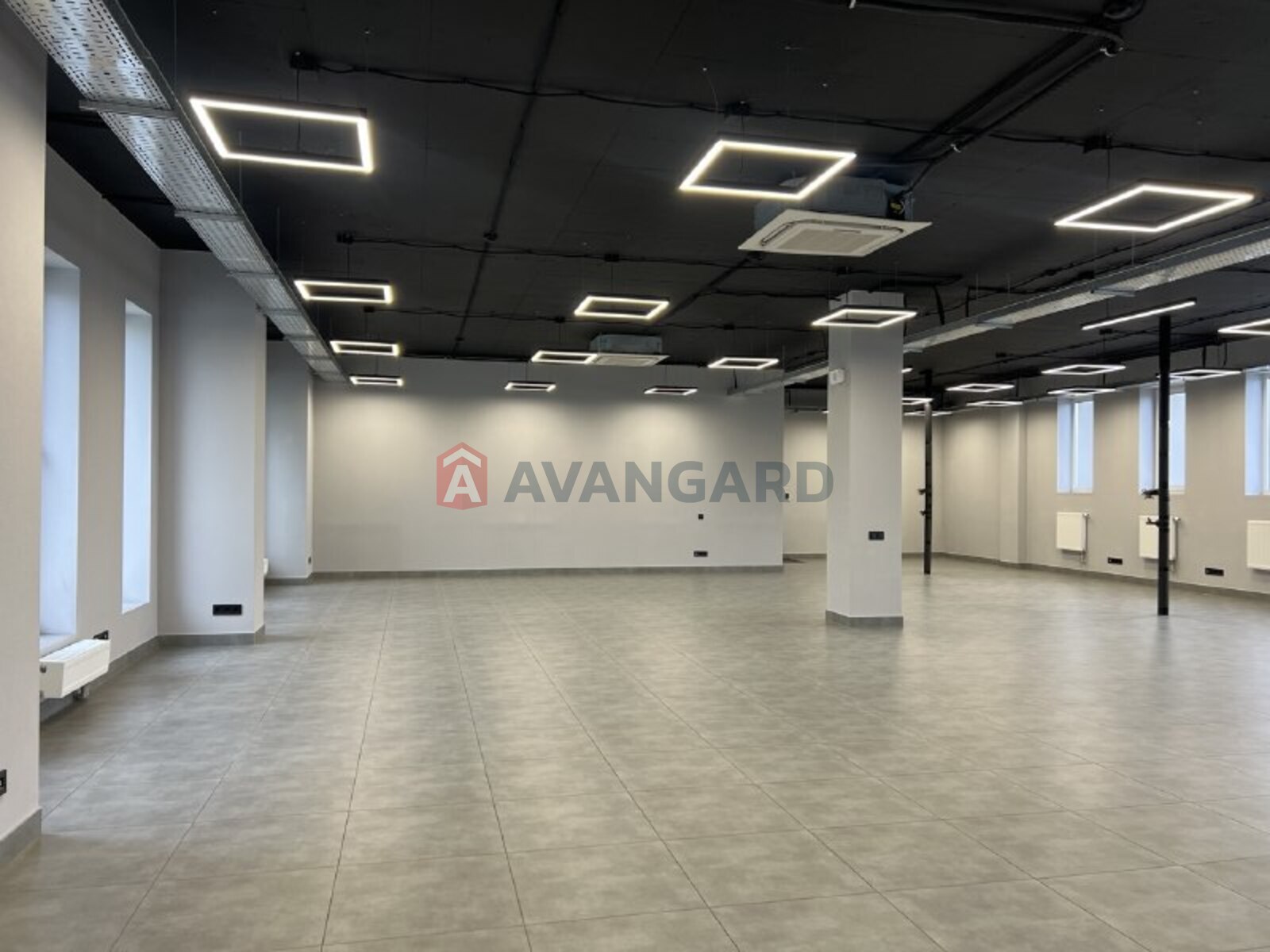 ����� �����, 245 ��.�. ���� 5