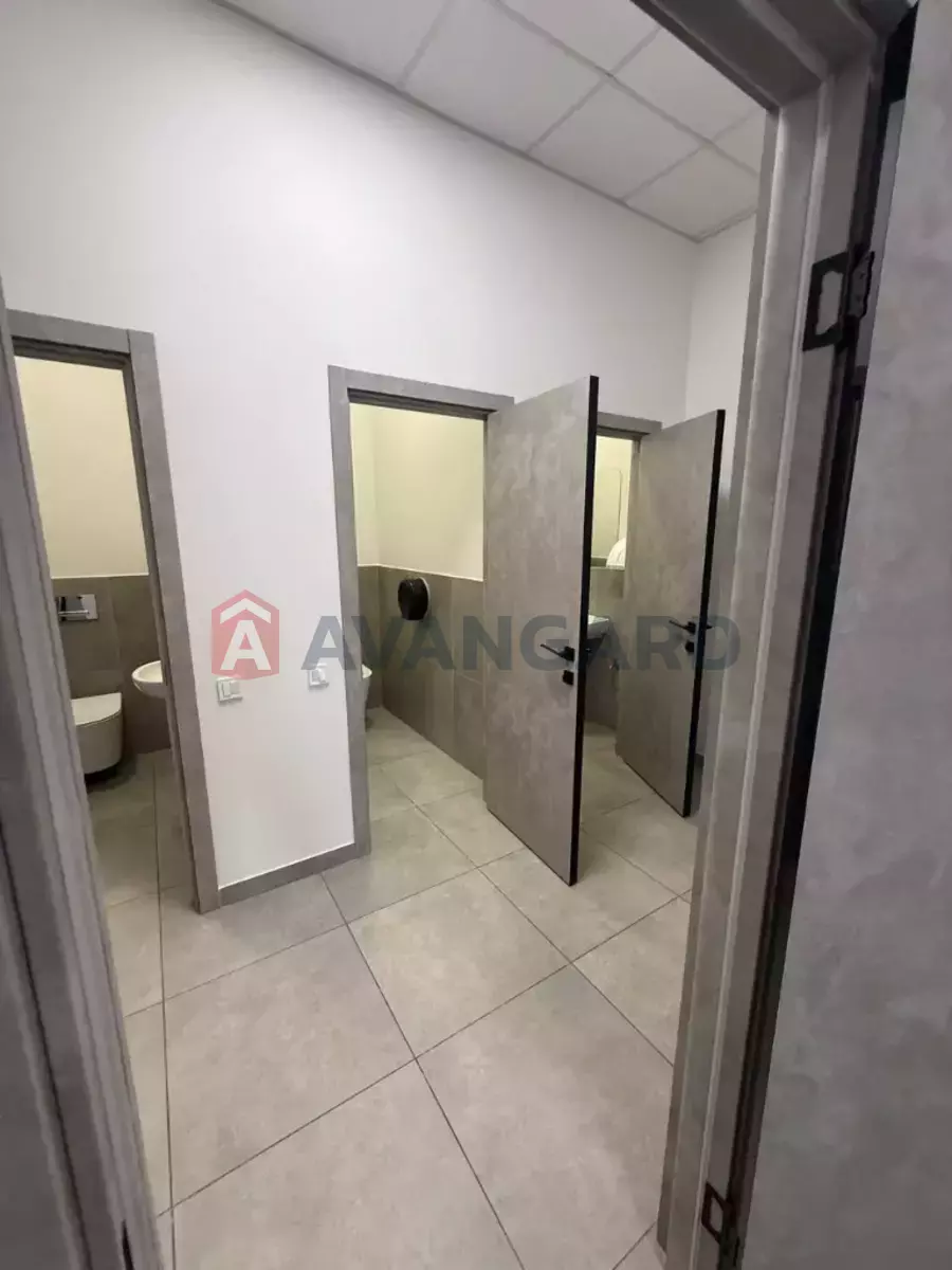 339 ��.�. ���� 6