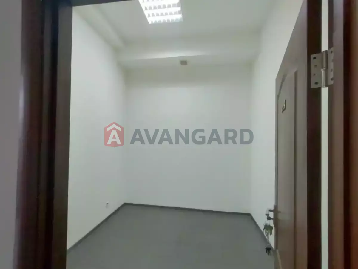 11 ��.�. ���� 6