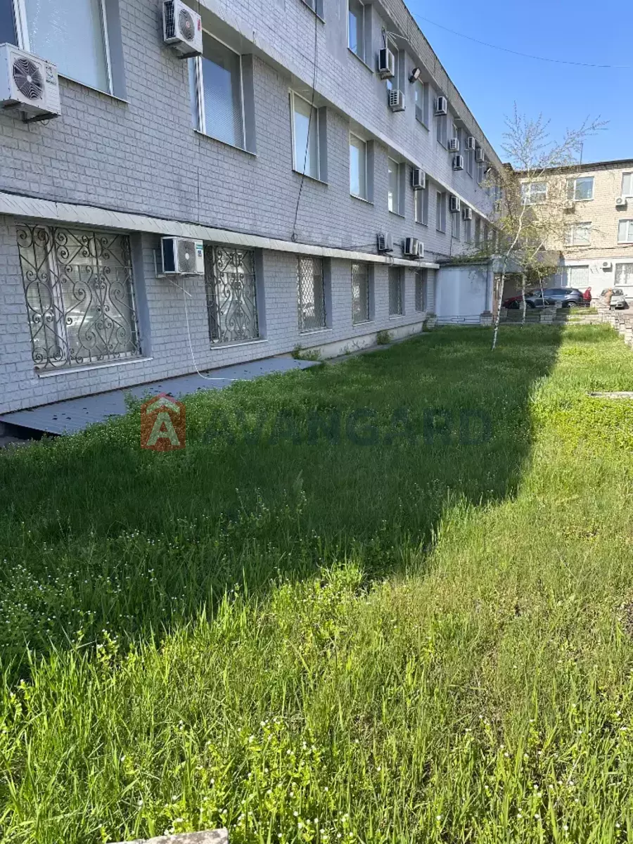 50 ��.�. ���� 6