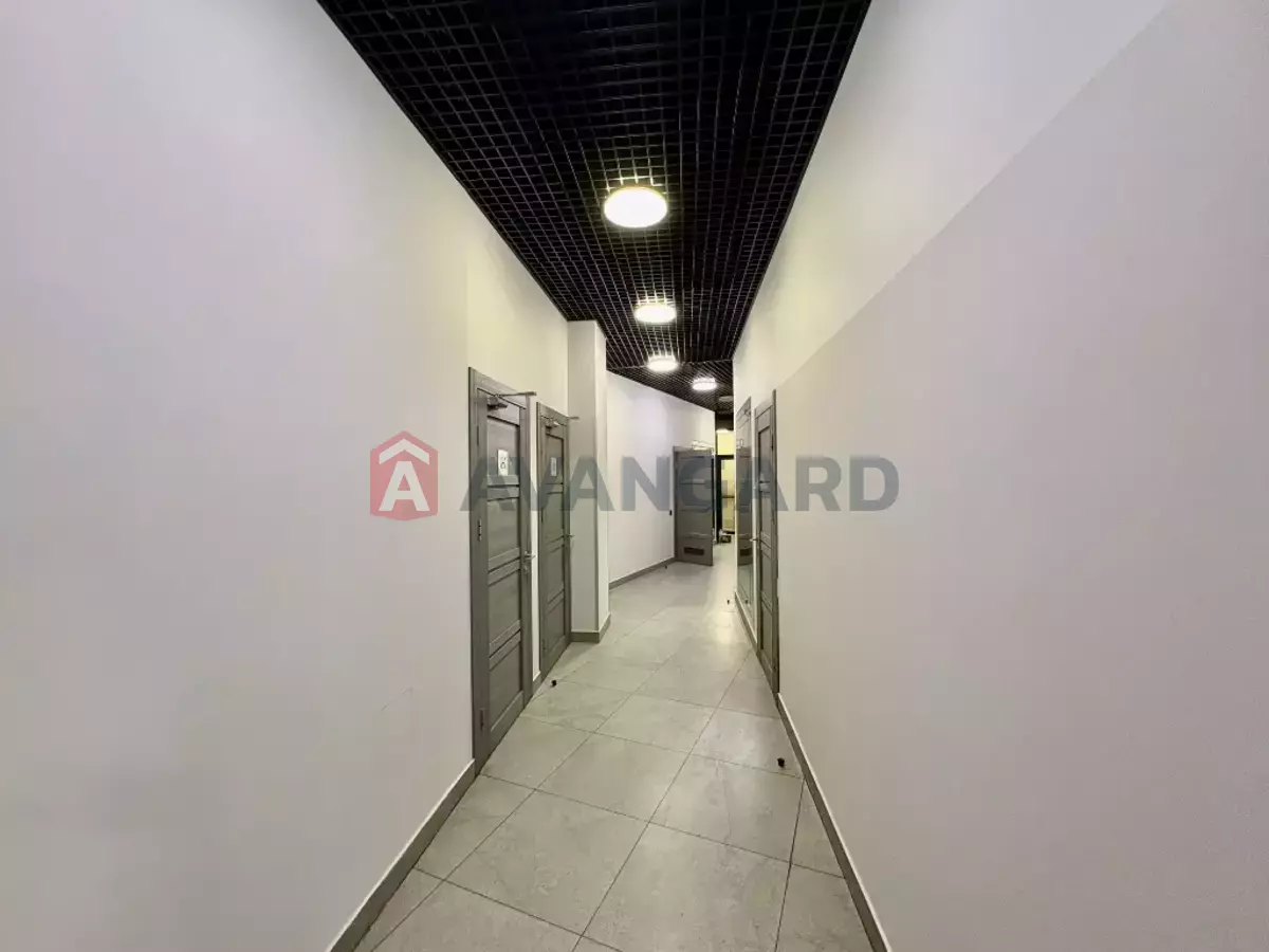 428 ��.�. ���� 19