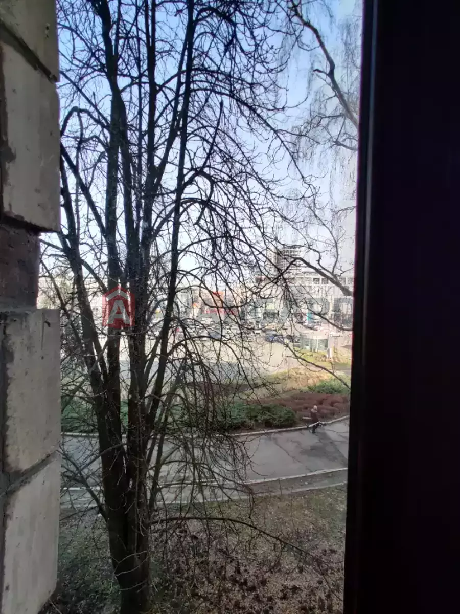 82 ��.�. ���� 18