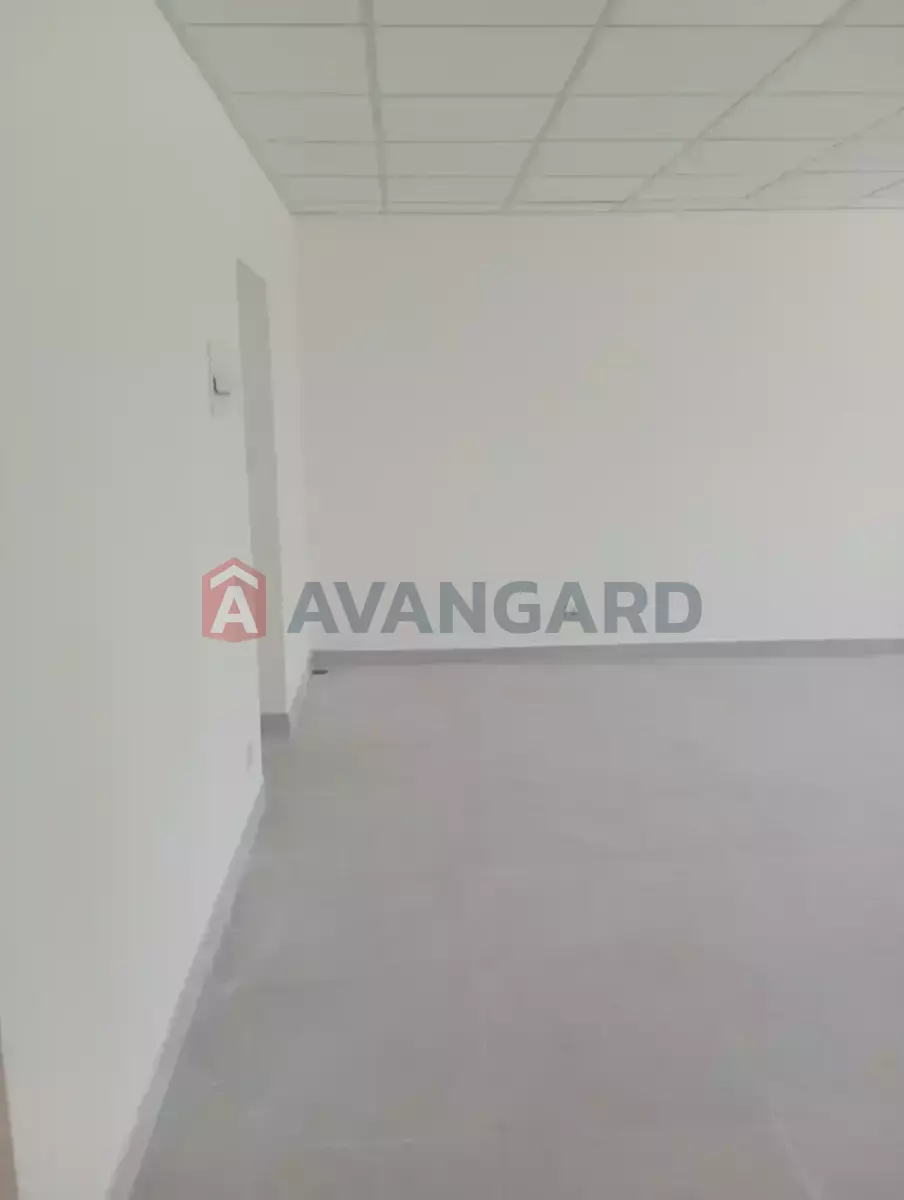 35 ��.�. ���� 5