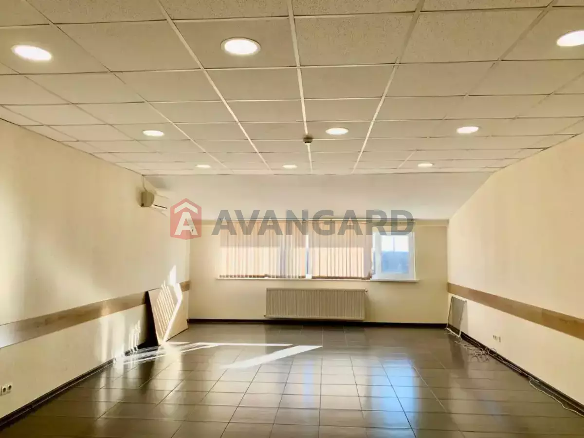 55 ��.�. ���� 1