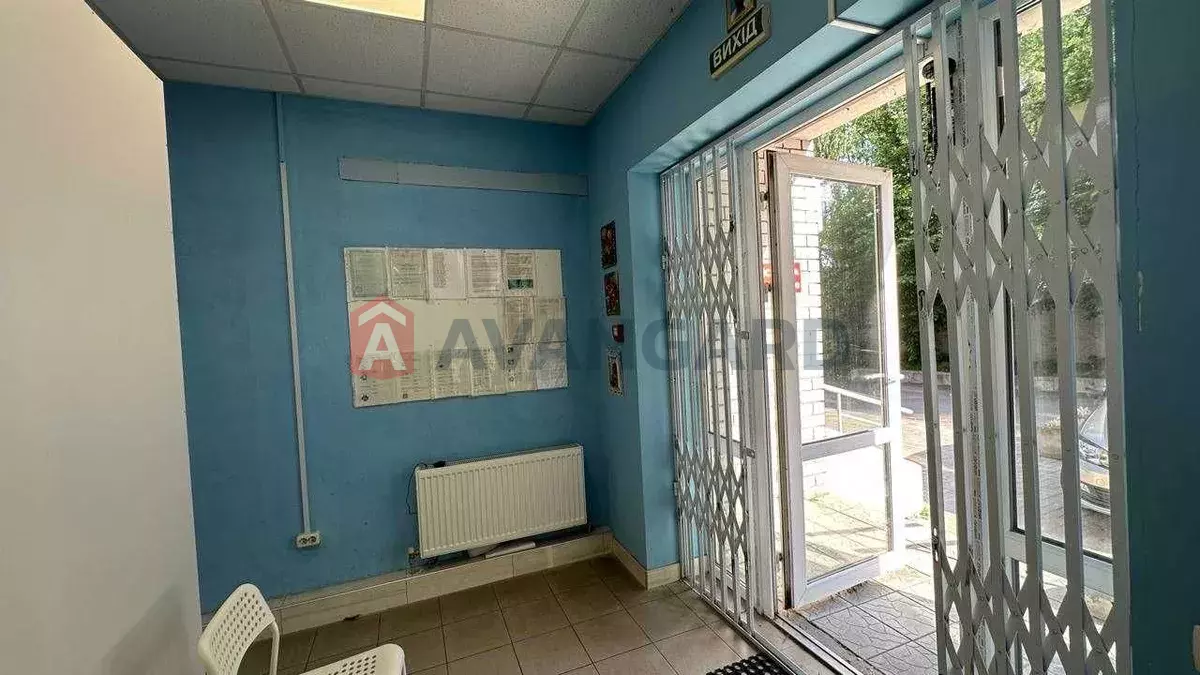 ����, 50 ��.�. ���� 3