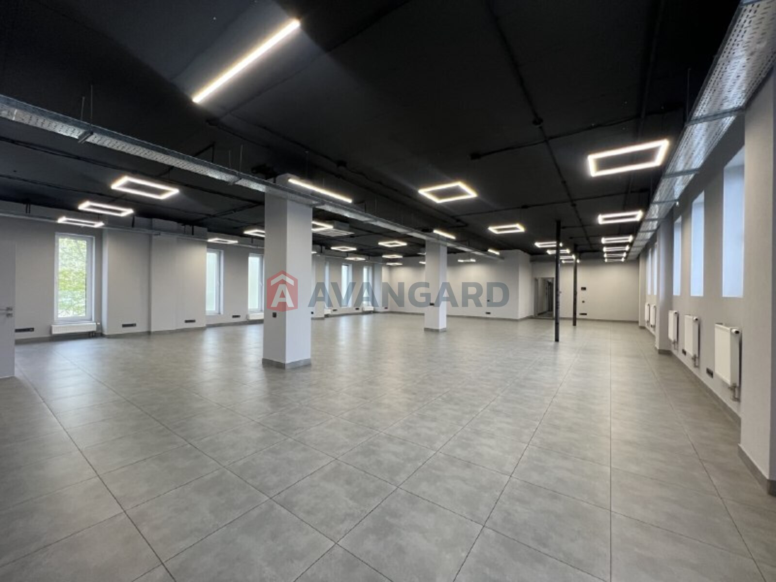 ����� �����, 245 ��.�. ���� 6