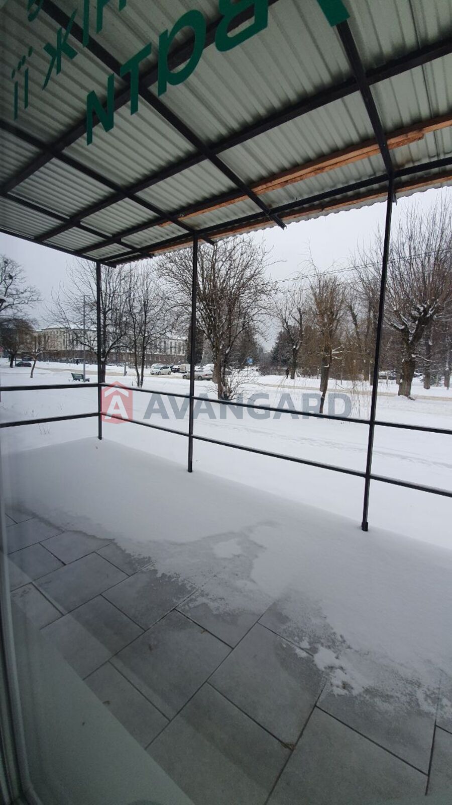 �������� ����, 43 ��.�. ���� 3