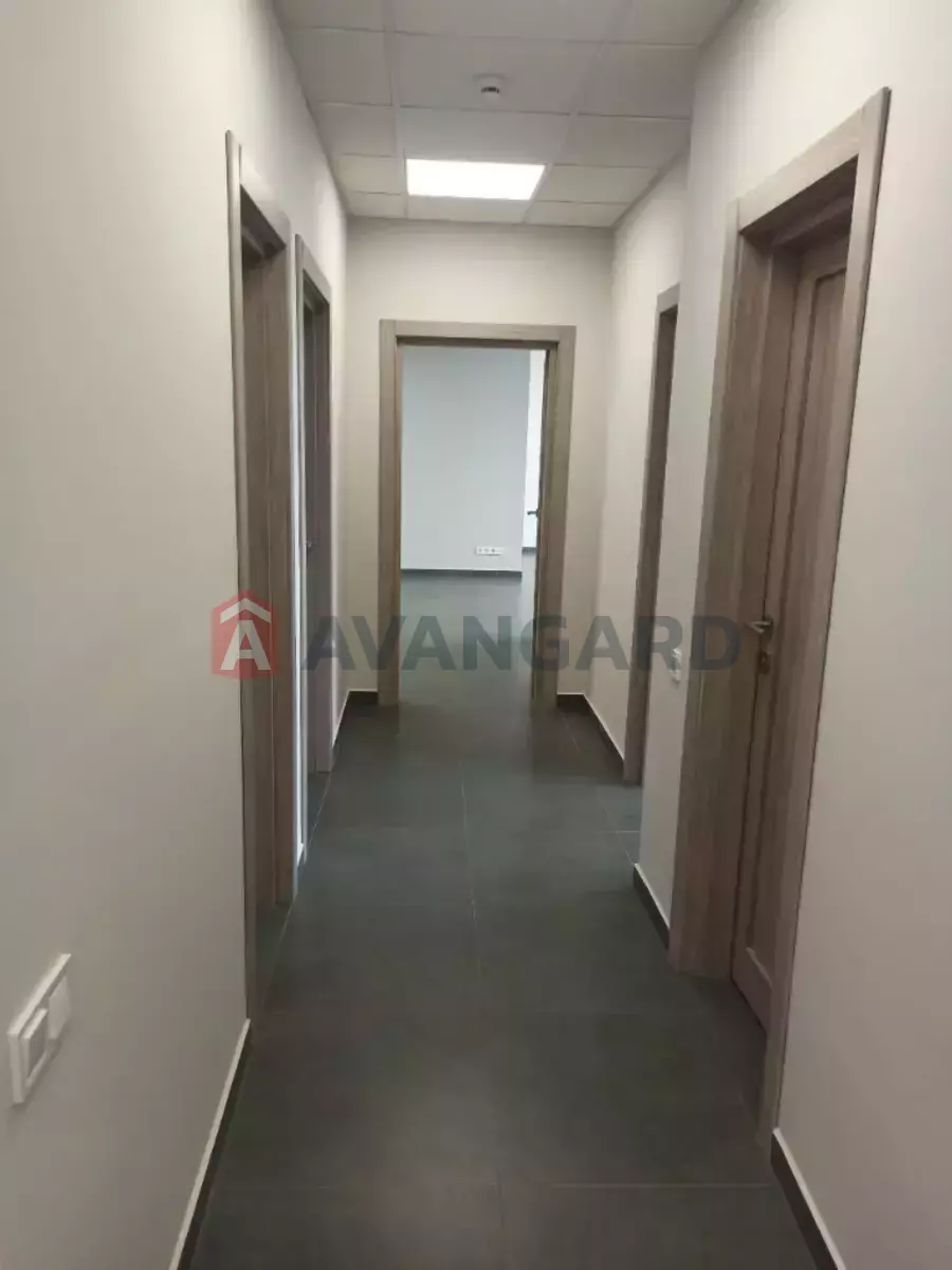 174 ��.�. ���� 8