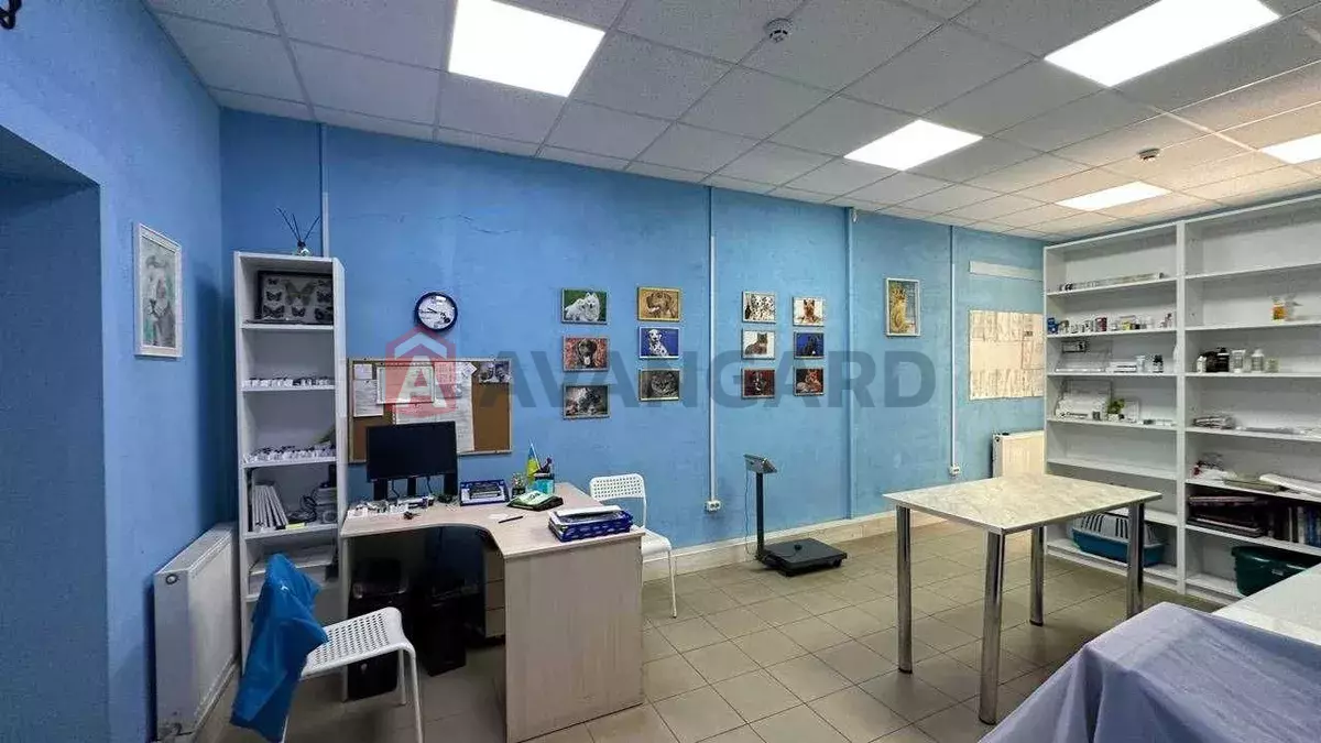 ����, 50 ��.�. ���� 14