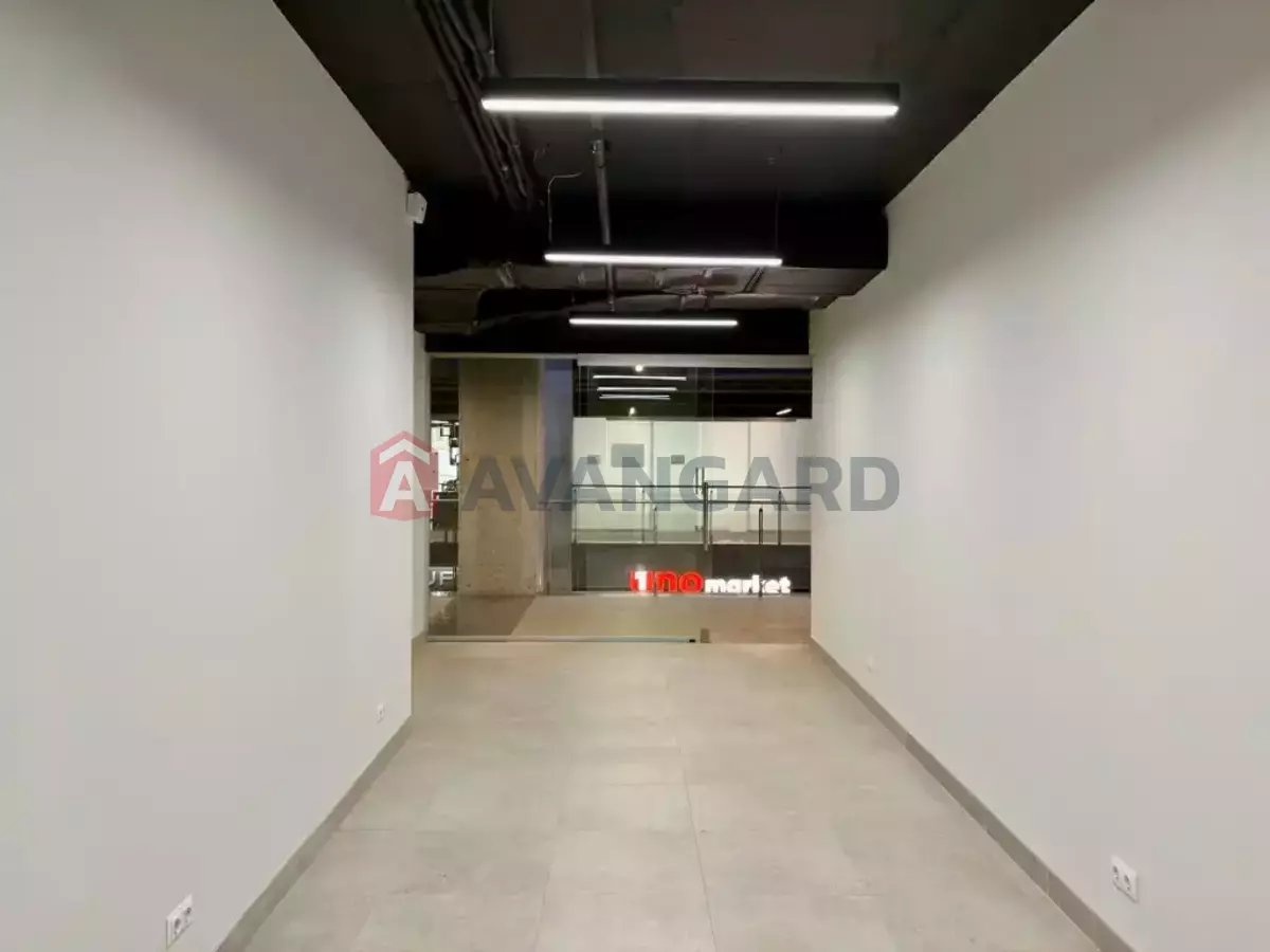 29 ��.�. ���� 3