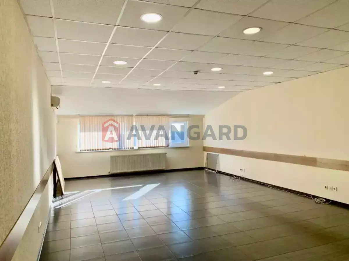 55 ��.�. ���� 5