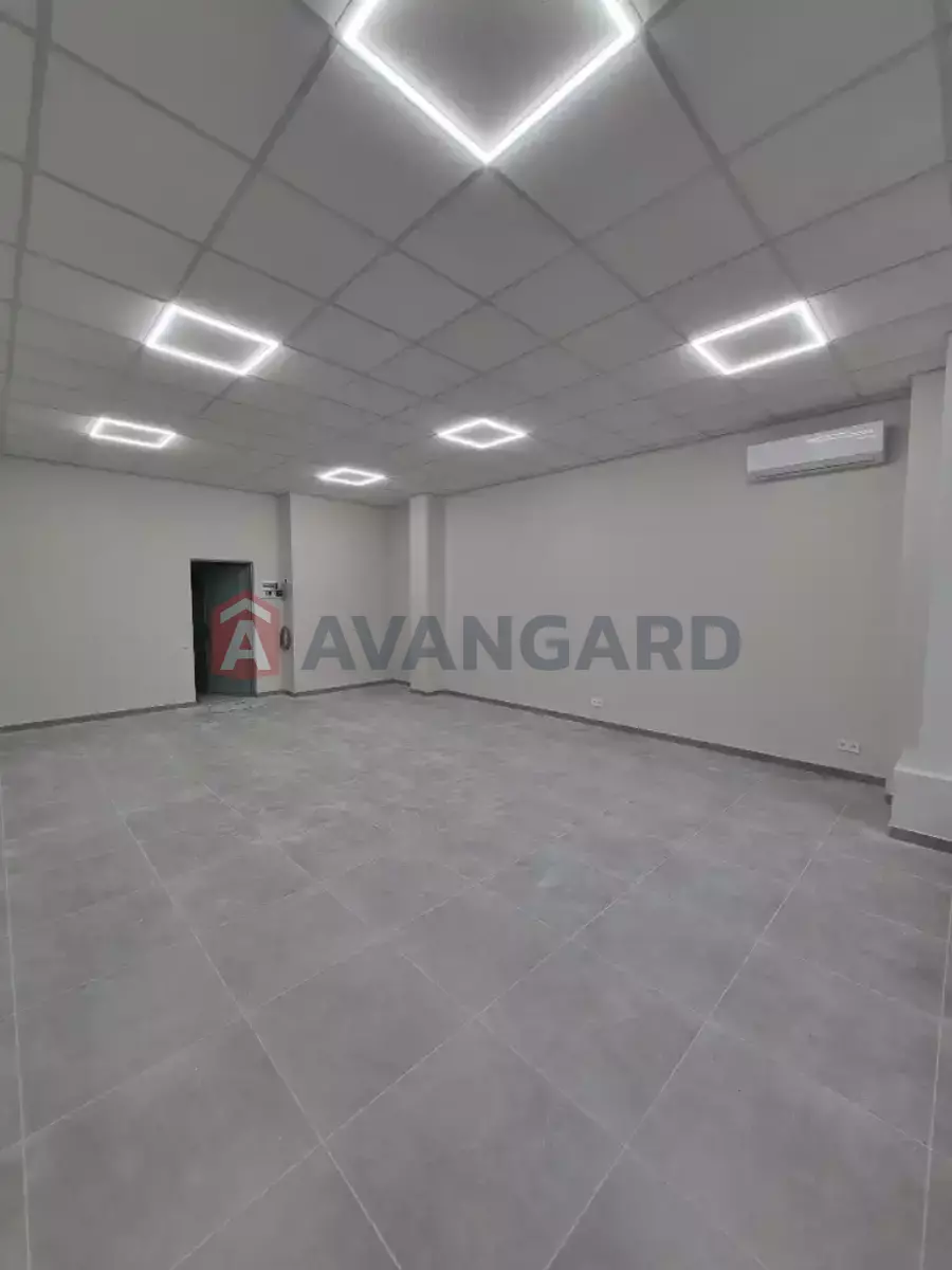 46 ��.�. ���� 3