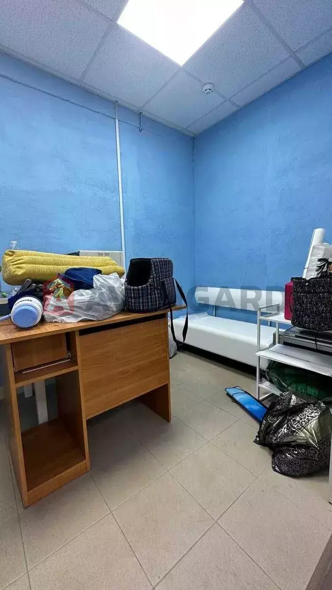 ����, 50 ��.�. ���� 10