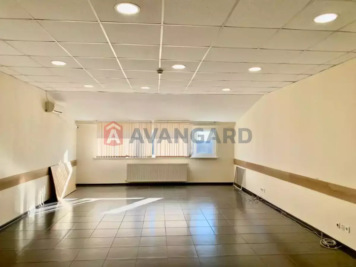 55 ��.�. ���� 2