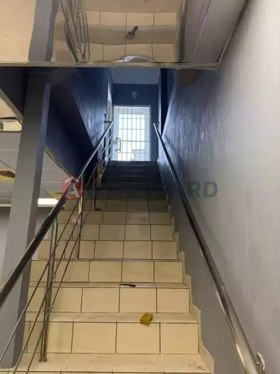 ����, 55 ��.�. ���� 5