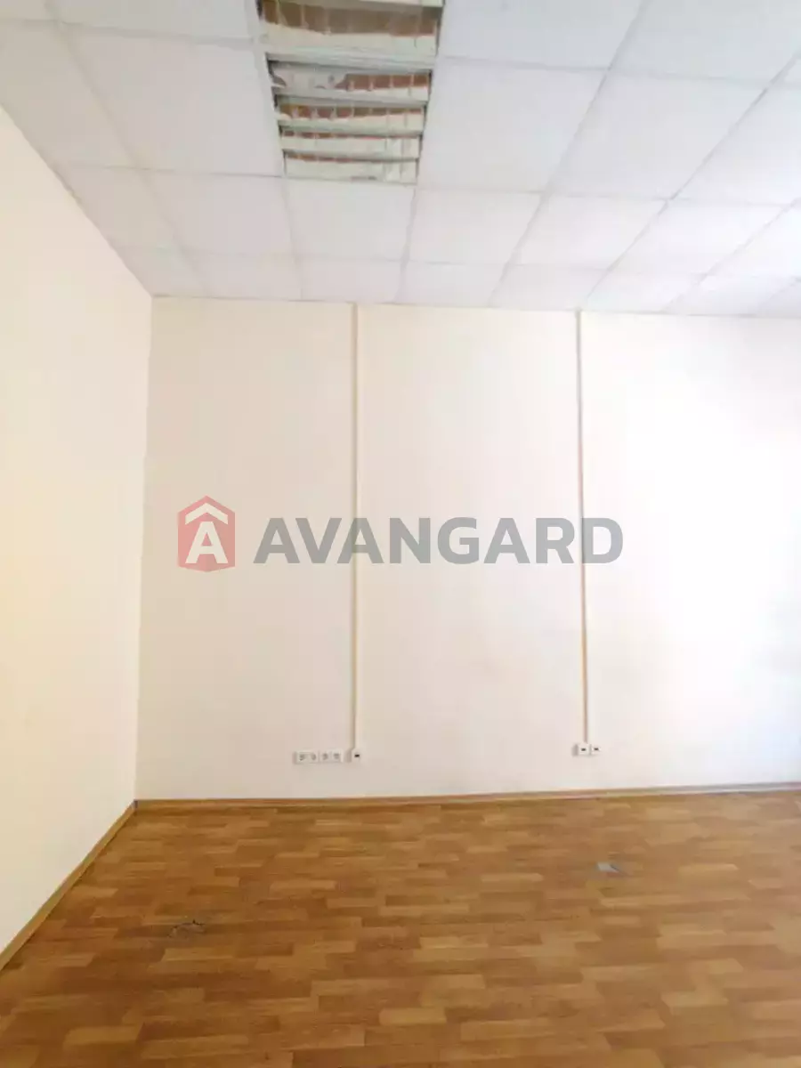 49 ��.�. ���� 6
