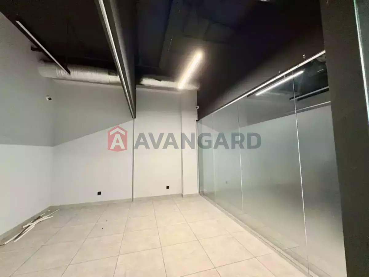 1202 ��.�. ���� 13